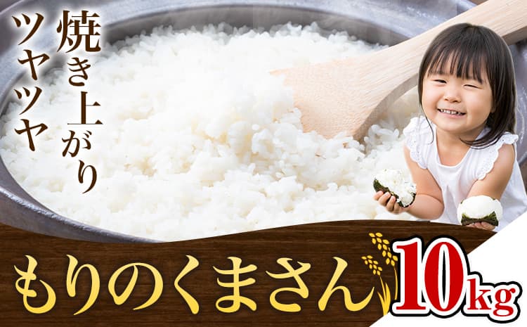 【お米特集】米 もりのくまさん 米 計10kg 《30日以内に出荷予定(土日祝除く)》 お米 こめ 熊本県産 精米 ブランド米 ご飯 ---mifune_nsm_5_10m---