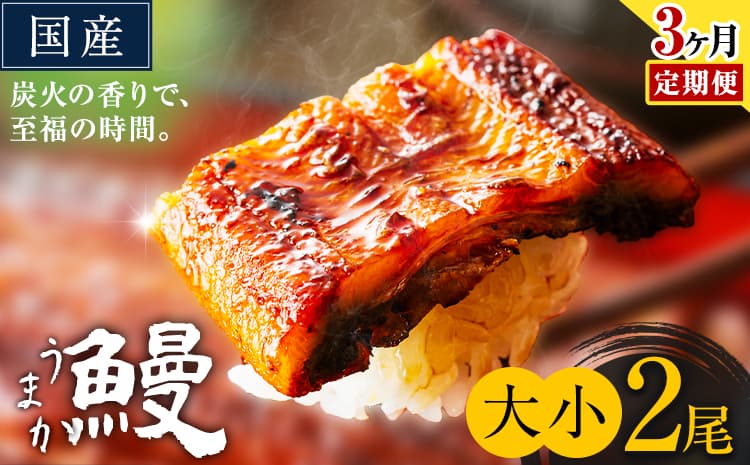 【3ヶ月定期便】うなぎ 大小 2尾 国産 鰻 真空パック おすすめ うなぎの蒲焼 《お申込み翌月から出荷》 ふるさとのうぜい 特上 簡易包装 ウナギ unagi 蒲焼 秋 冬 旬 配送時期 冷凍---mifune_lcl_1336_mo3---