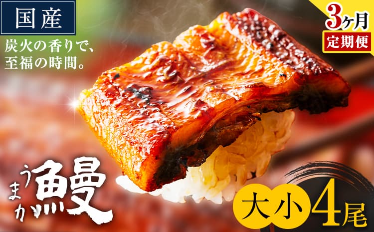 【3ヶ月定期便】うなぎ 大小 4尾 国産 鰻 真空パック おすすめ うなぎの蒲焼 《お申込み翌月から出荷》 ふるさとのうぜい 特上 簡易包装 ウナギ unagi 蒲焼 秋 冬 旬 配送時期 冷凍---mifune_lcl_1339_mo3---