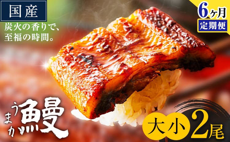 【6ヶ月定期便】うなぎ 大小 2尾 国産 鰻 真空パック おすすめ うなぎの蒲焼 《お申込み翌月から出荷》 ふるさとのうぜい 特上 簡易包装 ウナギ unagi 蒲焼 秋 冬 旬 配送時期 冷凍---mifune_lcl_1337_mo6---