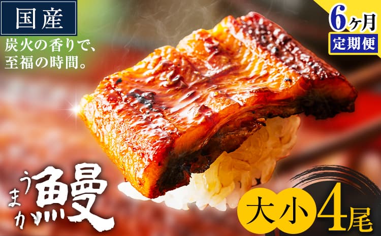 【6ヶ月定期便】うなぎ 大小 4尾 国産 鰻 真空パック おすすめ うなぎの蒲焼 《お申込み翌月から出荷》 ふるさとのうぜい 特上 簡易包装 ウナギ unagi 蒲焼 秋 冬 旬 配送時期 冷凍---mifune_lcl_1340_mo6---