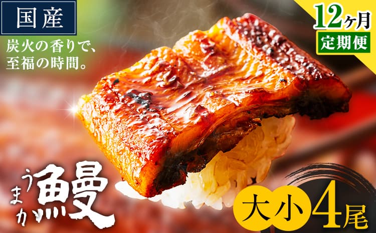 【12ヶ月定期便】うなぎ 大小 4尾 国産 鰻 真空パック おすすめ うなぎの蒲焼 《お申込み翌月から出荷》 ふるさとのうぜい 特上 簡易包装 ウナギ unagi 蒲焼 秋 冬 旬 配送時期 冷凍---mifune_lcl_1341_mo12---