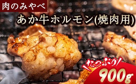 熊本県産 あか牛 焼肉 ホルモン 900g 肉のみやべ《120日以内に出荷予定(土日祝除く)》熊本県産 熊本県 御船町---mifune_myb_72_900g--- (管理コード:mifune_myb_72_900g)