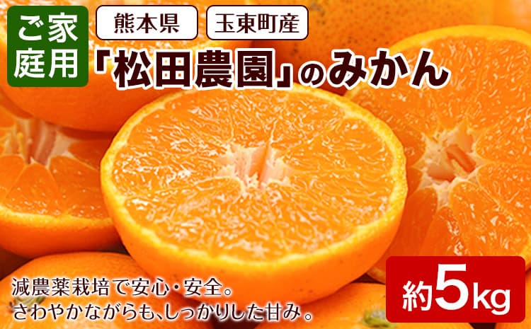 \先行予約スタート/ 松田農園 みかん たっぷり 訳あり 5kg ご家庭用 【日付指定不可】《10月中旬-12月下旬頃出荷》---gkt_mtd_5_5kg---
