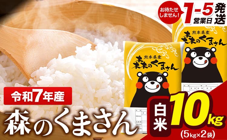 令和7年産 森のくまさん 10kg 5kg × 2袋 白米 熊本県産 単一原料米 森くま《1-5日以内に出荷予定(土日祝除く)》 送料無料---gkt_lcl_597_10kg---