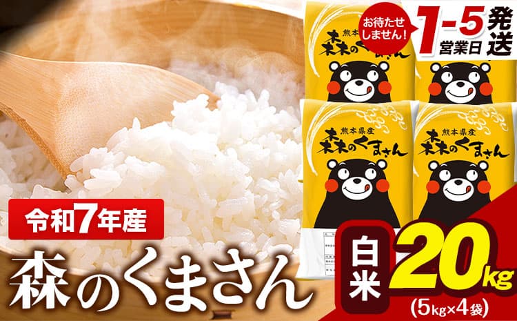 令和7年産 森のくまさん 20kg 5kg × 4袋 白米 熊本県産 単一原料米 森くま《1-5日以内に出荷予定(土日祝除く)》 送料無料---gkt_lcl_599_20kg---