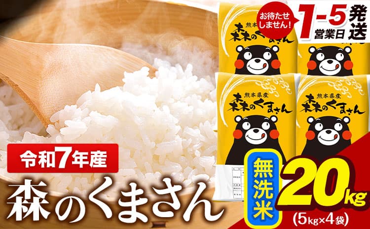 令和7年産 無洗米 森のくまさん 20kg 5kg × 4袋 熊本県産 単一原料米 森くま《1-5日以内に出荷予定(土日祝除く)》 送料無料---gkt_lcl_600_20kg---