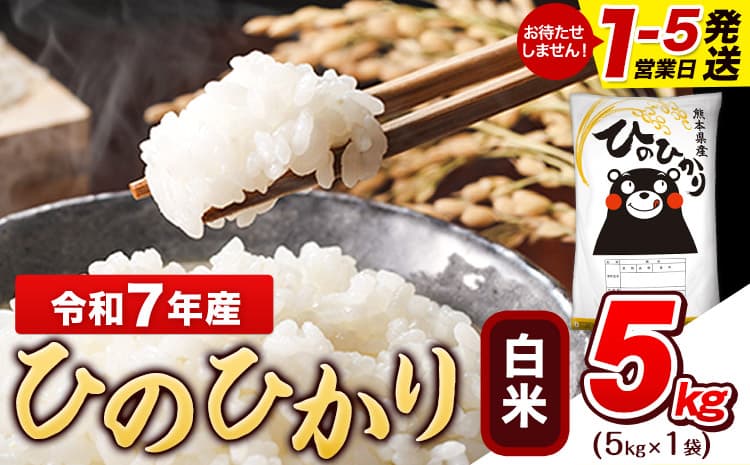 令和7年産 白米 ひのひかり 5kg《1-5日以内に出荷予定(土日祝除く)》熊本県産 ふるさと納税 白米 精米 ひの 米 こめ ふるさとのうぜい ヒノヒカリ コメ お米 おこめ---gkt_lcl_589_5kg---