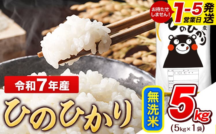 令和7年産 無洗米 ひのひかり 5kg《1-5日以内に出荷予定(土日祝除く)》熊本県産 ふるさと納税 無洗米 精米 ひの 米 こめ ふるさとのうぜい ヒノヒカリ コメ お米 おこめ---gkt_lcl_590_5kg---