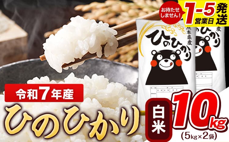 【ローソンふるさと納税カタログ掲載返礼品】令和7年産 白米 ひのひかり 10kg《1-5日以内に出荷予定(土日祝除く)》高レビュー 熊本県産 ふるさと納税 白米 精米 ひの 米 こめ ふるさとのうぜい ヒノヒカリ コメ お米 おこめ---gkt_lcl_591_10kg---
