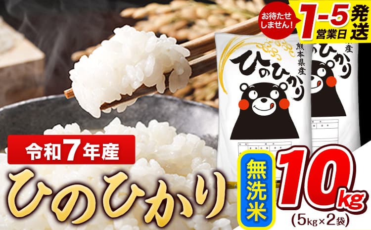 令和7年産 無洗米 ひのひかり 10kg《1-5日以内に出荷予定(土日祝除く)》熊本県産 ふるさと納税 無洗米 白米 精米 ひの 米 こめ ふるさとのうぜい ヒノヒカリ コメ お米 おこめ---gkt_lcl_592_10kg---