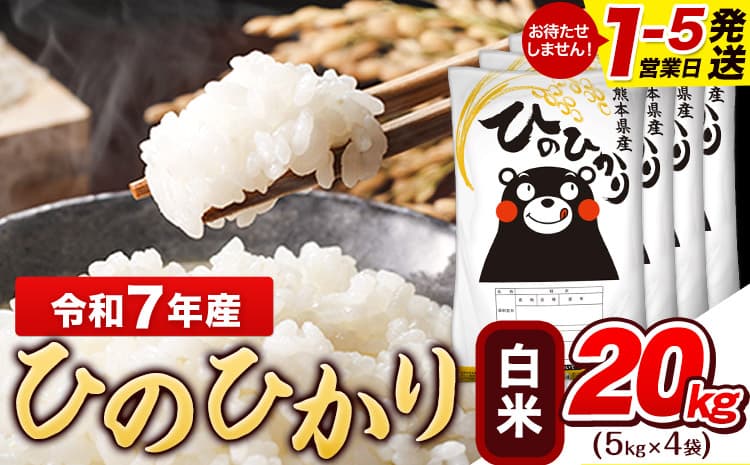 令和7年産 白米 ひのひかり 20kg《1-5日以内に出荷予定(土日祝除く)》熊本県産 ふるさと納税 白米 精米 ひの 米 こめ ふるさとのうぜい ヒノヒカリ コメ お米 おこめ---gkt_lcl_593_20kg---