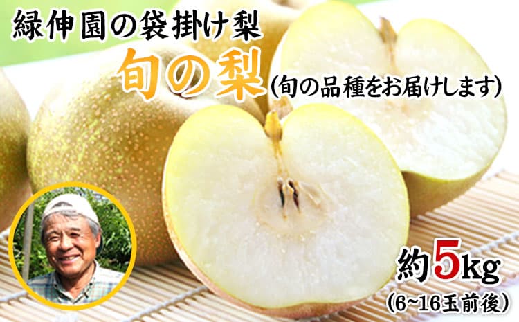 『緑伸園』の旬の梨 約5kg《8月中旬-9月下旬頃出荷》 旬の品種をお届け 予約受付中 6-16玉前後入り 【ふるさと納税】 梨 フルーツ 旬 豊水 あきづき 新高 ---gkt_rke_2_5kg---