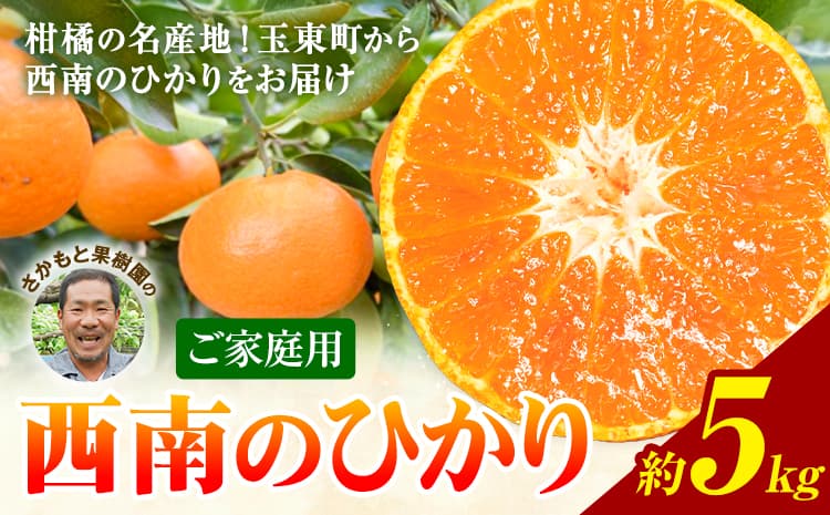 西南のひかり 約5kg さかもと果樹園《12月中旬-12月末頃出荷》熊本県 玉名郡 玉東町 みかん 柑橘 フルーツ 果物 ご家庭用 サイズミックス---gkt_skm_6_5kg---