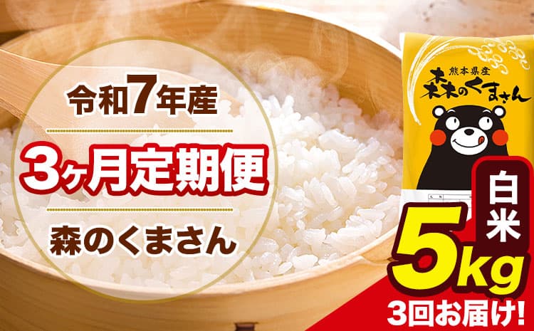 【3ヶ月定期便】令和7年産 森のくまさん 白米 《11月から出荷開始》5kg(5kg×1袋) 計3回お届け 熊本県産 単一原料米 森くま 熊本県 玉東町---mk7tei_37500_5kg_nov3_gkt_h---