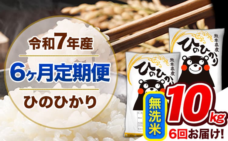 【6ヶ月定期便】令和7年産 定期便 無洗米 ひのひかり 10kg 《11月から出荷開始》熊本県産 ふるさと納税 精米 ひの 米 こめ ふるさとのうぜい ヒノヒカリ コメ 熊本米---hn7tei_141000_10kg_nov6_gkt_m---