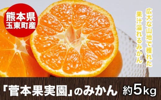 『菅本果実園』のみかん★約5kg(2S-Lサイズ)《11月中旬-1月中旬頃出荷》 【日付指定不可】フルーツ 秋 旬★熊本県玉名郡玉東町 全国にファン多数!エコファーマー菅本さんのみかん♪『菅本果実園』---gkt_sgm_8_5kg--- (管理コード:gkt_sgm_8_5kg)