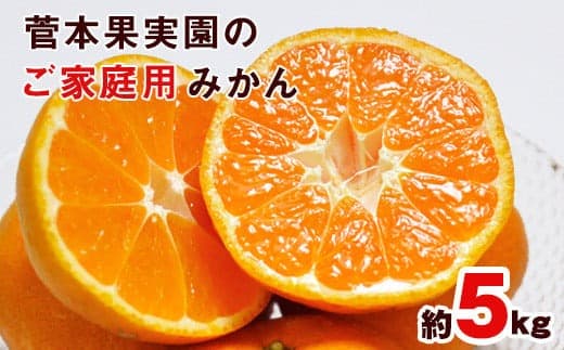 ご家庭用『菅本果実園』のご家庭用みかん★約5kg(2S-2Lサイズ)《11月中旬-1月中旬頃出荷》 【日付指定不可】フルーツ 秋 旬★熊本県玉名郡玉東町 全国にファン多数!エコファーマー菅本さんのみかん♪『菅本果実園』ちょこっと訳あり---gkt_sgm_6_5kg--- (管理コード:gkt_sgm_6_5kg)
