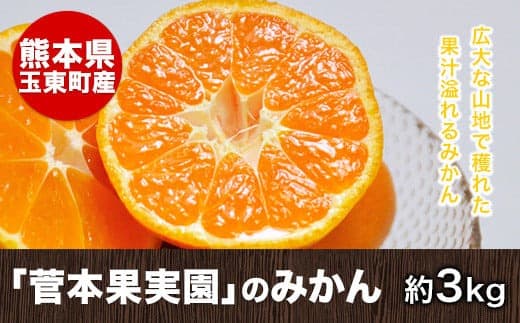 『菅本果実園』のみかん★約3kg(2S-Lサイズ)《11月中旬-1月中旬頃出荷》 【日付指定不可】フルーツ 秋 旬★熊本県玉名郡玉東町 全国にファン多数!エコファーマー菅本さんのみかん『菅本果実園』---gkt_sgm_7_3kg--- (管理コード:gkt_sgm_7_3kg)