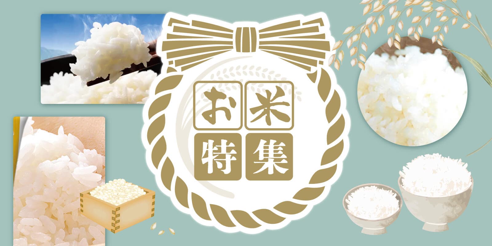 お米特集