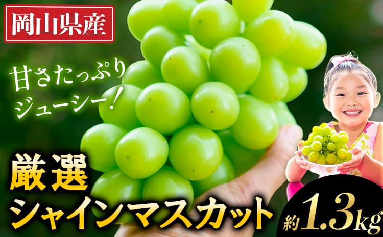 【フルーツ特集】【ローソンふるさと納税カタログ掲載返礼品】2026年発送先行予約 厳選 シャインマスカット 約1.3kg 2房《2026年9月上旬-11月中旬頃に出荷予定(土日祝除く)》ぶどう 種なし ぶどう 岡山 ぶどう 先行予約 ぶどう シャインマスカット 大粒 シャインマスカット 晴王 シャインマスカット 岡山 シャインマスカット---ofn_cwsmx_ae911_26_13500_2---