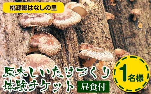 7. 原木しいたけづくり体験チケット(昼食付) 1名様 桃源郷はなしの里 岡山県矢掛町《30日以内に出荷予定(土日祝除く)》---iosy_togensitake_30d_22_17500_1p--- (管理コード:iosy_togensitake_30d_22_17500_1p)