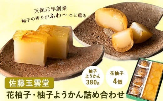 25. 花柚子・柚子ようかん詰め合わせ 佐藤玉雲堂 《30日以内に出荷予定(土日祝除く)》岡山県矢掛町 柚子 ようかん 和菓子 スイーツ デザート---osy_satohnyzyo_30d_24_12500_2i--- (管理コード:osy_satohnyzyo_30d_24_12500_2i)