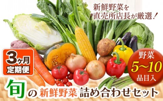 206.【3ヶ月定期便】旬の新鮮野菜詰め合わせセット 野菜5~10品目入 青空市きらり《お申込み月の翌月から出荷開始》岡山県 矢掛町 野菜 野菜詰め合わせ トマト きゅうり アスパラガス 玉ねぎ リーキ 送料無料---osy_cakystei_24_22500_mo3num_s--- (管理コード:osy_cakystei_24_22500_mo3num_s)
