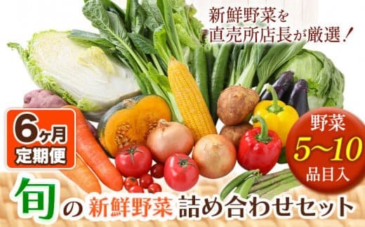 207.【6ヶ月定期便】旬の新鮮野菜詰め合わせセット 野菜5~10品目入 青空市きらり《お申込み月の翌月から出荷開始》岡山県 矢掛町 野菜 野菜詰め合わせ トマト きゅうり アスパラガス 玉ねぎ リーキ 送料無料---osy_cakystei_24_43500_mo6num_s--- (管理コード:osy_cakystei_24_43500_mo6num_s)