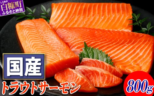 ※2026年12月末までにお届け※国産トラウトサーモン【800g】_T015-1729-2612