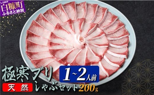 天然極寒ブリ ブリしゃぶセット 200g(1~2人前) ぶり ぶりしゃぶ ブリしゃぶ ぶり刺身 ブリ刺身 刺身 極寒ぶり 寒ブリ 寒ぶり しゃぶしゃぶ 国産ぶり 国産 天然ぶり 天然ブリ 冷凍 冷凍ぶり 冷凍ブリ 鍋 なべ 新鮮 海鮮 鮮度 北海道 北海道ぶり 北海道産 人気 ふるさと納税 北海道 白糠町_A014-1230