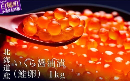 シラリカいくら(醤油味) 1kg(250g×4) いくら イクラ 小分け 国産 完熟卵のみ 20杯分 極上品 賞味期限1年以上 鮮度抜群 いくら醤油漬 鮭いくら 鮭イクラ イクラ醤油漬 鮭 鮭卵 いくら醤油漬け イクラ醤油漬け ikura いくら醤油漬 醤油いくら 醤油イクラ 冷凍いくら 冷凍イクラ 醤油鮭いくら 醤油鮭イクラ 人気 ふるさと納税 ふるさとチョイス 北海道 白糠町_K057-1037-60DAYS