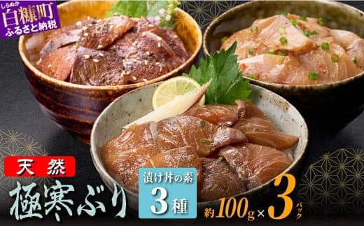 天然極寒ブリ 厳選3種漬け丼の素セット 300g ぶり ぶり刺身 ブリ刺身 刺身 寒ブリ 寒ぶり 国産ぶり 国産 天然ぶり 天然ブリ 漬け丼 りゅうきゅう 新鮮 海鮮 鮮度 冷凍 たんたか しそ 冷凍ぶり 冷凍ブリ 北海道 北海道ぶり 北海道産 人気 ふるさと納税 ふるさとチョイス 北海道 白糠町_A008-1231