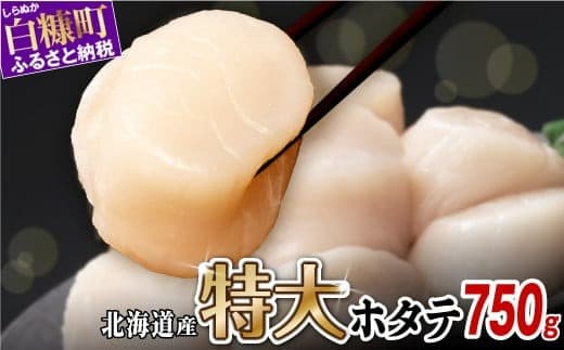オホーツク産お刺身用ホタテ特大サイズ 750g (250g×3) ホタテ ほたて 訳あり 大粒 訳ありほたて 訳ありホタテ ほたて貝柱 ホタテ貝柱 北海道産ほたて 北海道産ホタテ 海鮮 特大 大粒ほたて 大粒ホタテ 北海道 おすすめ 人気 ランキング 帆立 天然 ふるさと納税 冷凍ほたて 冷凍ホタテ ふるさとチョイス 北海道産 国産 冷凍帆立 天然帆立 白糠町_K015-1323