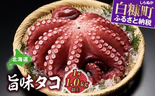 北海道 旨味たこ 1.0kg以上 × 1杯 タコ 鮹 冷凍だこ 冷凍蛸 ふるさと納税 北海道 白糠町タコ 鮹 冷凍だこ 冷凍蛸 ふるさと納税 北海道 白糠町_I012-0508