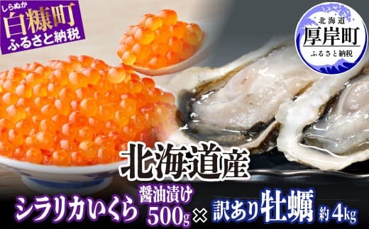 北海道産 シラリカいくら 【醤油漬け】 500g (250g×2) × 北海道産 牡蠣 約4kg 訳あり 厚岸産 海鮮 セット ふるさと納税 いくら イクラ 牡蠣 生牡蠣 カキ 殻付き 海鮮 生食用 海鮮 海鮮丼 魚介 貝 ふるさと 贈答用 人気 ランキング 北海道 白糠町 厚岸町_I061-1348
