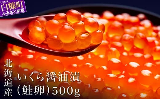 シラリカいくら(醤油味) 500g いくら イクラ 小分け 国産 極上品 完熟卵のみ 賞味期限1年以上 鮮度抜群 いくら醤油漬 鮭いくら 鮭イクラ イクラ醤油漬 鮭 鮭卵 いくら醤油漬け イクラ醤油漬け ikura いくら醤油漬 醤油いくら 醤油イクラ 冷凍いくら 冷凍イクラ 醤油鮭いくら 醤油鮭イクラ 鮭いくら醤油漬 ふるさと納税 ふるさとチョイス_K029-1036-60DAYS