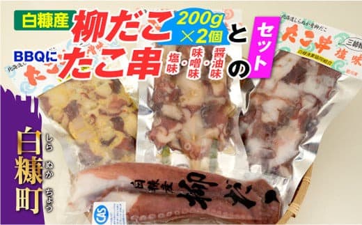 「しらぬか産柳だこ」とBBQに「たこ串(塩味・味噌味・醤油味)」のセット_I011-0137