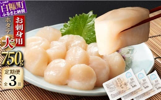 年3回!オホーツク産お刺身用ホタテ大サイズ(3S) 750g (250g×3) 定期便 ホタテ ほたて 訳あり 大粒 訳ありほたて 訳ありホタテ ほたて貝柱 ホタテ貝柱 北海道産ほたて 北海道産ホタテ 海鮮 特大 大粒ほたて 大粒ホタテ 北海道 おすすめ 人気 ランキング 帆立 天然 ふるさと納税 冷凍ほたて 冷凍ホタテ ふるさとチョイス 北海道産 国産 冷凍帆立_K036-1049