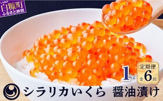 年6回!シラリカいくら(醤油味)定期便【1kg(250g×4)×6回】_K342-1045
