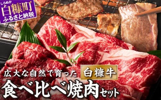 北海道産 牛肉 1kg ふるさと納税 焼肉 ふるさと 焼き肉 焼肉 焼肉セット 訳あり 不揃い バラ モモ 大判ロース 小分け 便利 3種 セット 食べ比べ 人気 ランキング おすすめ 家庭用 贈答用 ギフト 白糠牛 北海道 白糠町_L021-1438_L021-1438