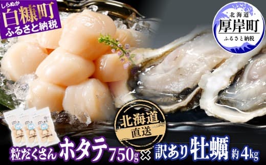 北海道産 ホタテ 750g (250g×3) × 北海道産 牡蠣 約4kg 海鮮 セット 訳あり ふるさと納税 ホタテ 牡蠣 ほたて 刺身 北海道産 帆立 貝柱 カキ 生牡蠣 殻付 海鮮丼 魚介 貝 ふるさと 贈答用 人気 ランキング 北海道 白糠町 厚岸町_I047-1349-2502