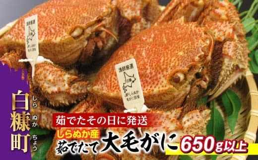 しらぬか産 茹でたて大サイズ毛がに【650g以上】_I084-0559