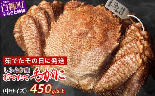 しらぬか産 茹でたて中サイズ毛がに【450g以上】_I055-0563