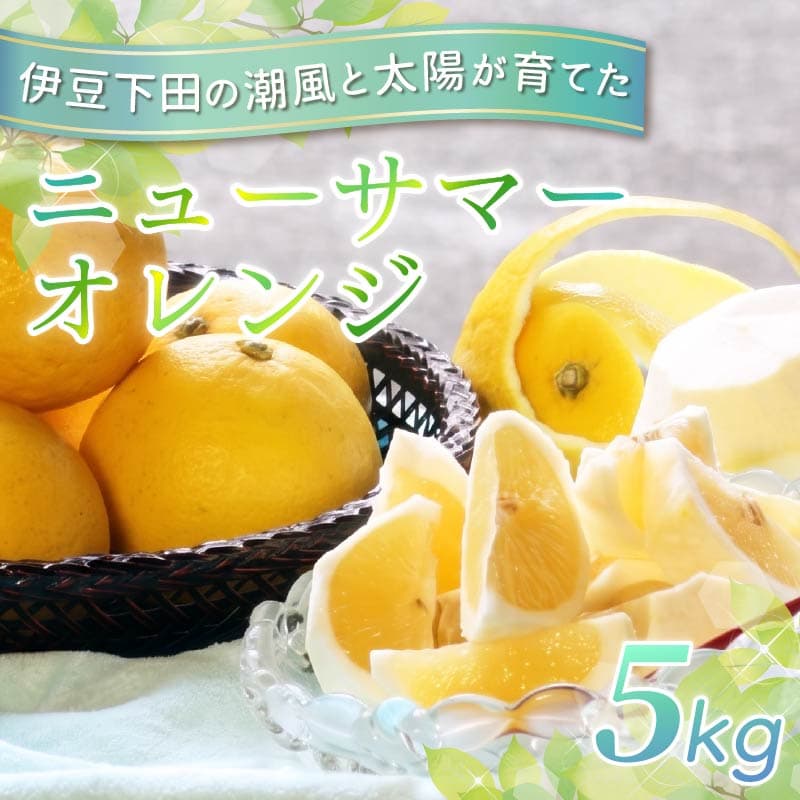 【ロ】 ニューサマーオレンジ 5kg 先行予約 4月より順次発送 旬 柑橘 みかん ミカン オレンジ orange フルーツ 果物 くだもの ニューサマー 国産 季節限定 産地直送 静岡県産 横山商店 静岡県 伊豆 下田 下田市 PTS060-00002