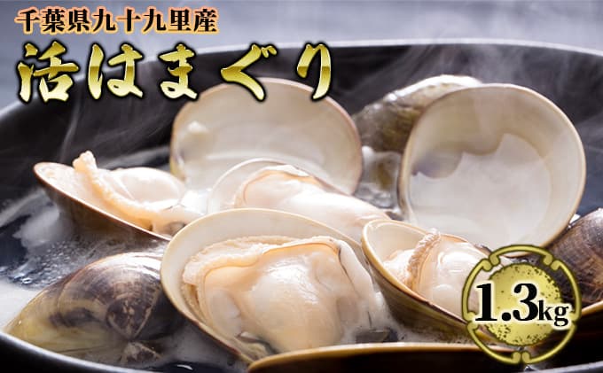 はまぐり 活はまぐり 1.3kg 貝 海鮮 海産物 海の幸 魚介 魚介類 国産 蛤 産地直送 冷蔵 冷蔵配送