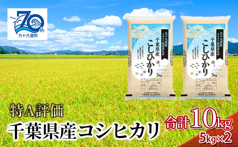 米 千葉県産コシヒカリ5kg×2 こしひかり セット お米 特A評価 精米 ふっくら もっちり 粘り気 旨み 香り ツヤ やわらかい 歯ごたえ 九十九里町 千葉県