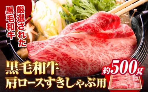 黒毛和牛 肩ロース すき焼き しゃぶしゃぶ 用 約 約500g《30日以内に出荷予定(土日祝除く)》大阪府 羽曳野市 送料無料 すき焼き用 しゃぶしゃぶ用 ロース 牛 和牛 牛肉---habikino_msa_6_1--- (管理コード:habikino_msa_6_1)