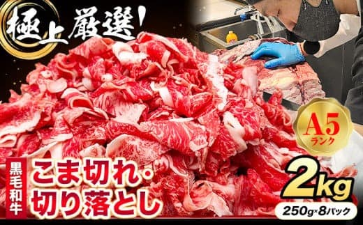 極上 厳選 黒毛和牛 こま切れ 切り落とし 約2kg 株式会社Demi Enterprise《30日以内に出荷予定(土日祝除く)》大阪府 羽曳野市 送料無料 牛肉 牛 和牛 小分け---habikino_kde_1_4--- (管理コード:habikino_kde_1_4)