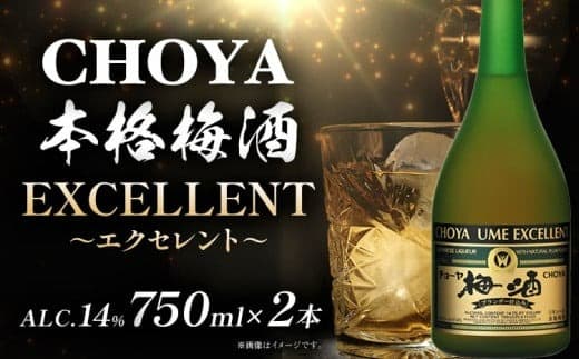 CHOYA 本格梅酒 EXCELLENT エクセレント 750ml × 2本 羽曳野商工振興株式会社《30日以内に出荷予定(土日祝除く)》大阪府 羽曳野市 送料無料 梅酒 梅 酒 CHOYA チョーヤ チョーヤ梅酒 お酒 紀州 南高梅---habikino_hss_29_1--- (管理コード:habikino_hss_29_1)